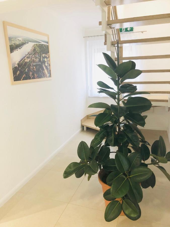 Duna Vendeghaz Hotel Fadd-Dombori Bagian luar foto